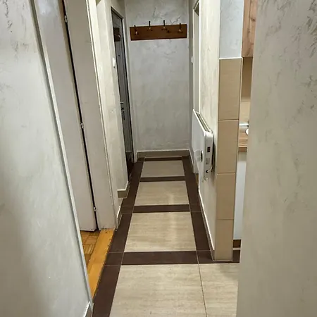 Centar ズラティボール