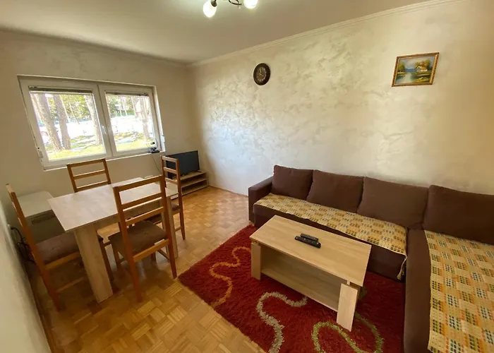 Centar * ズラティボール