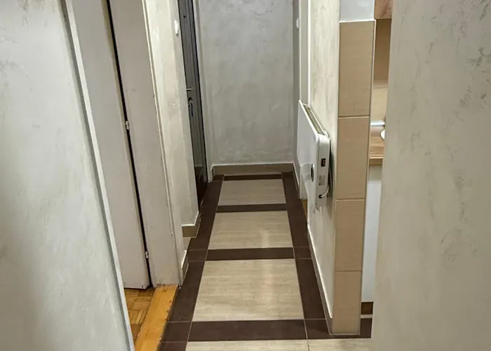 Centar ズラティボール